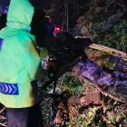 Polisi, BPBD dan Warga Sigap Evakuasi Pohon Tumbang Tutup Total Jalur Tembus Sarangan